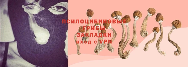 марки lsd Михайлов
